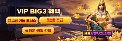 VIP 전용 특별 캐시백 promotion banner
